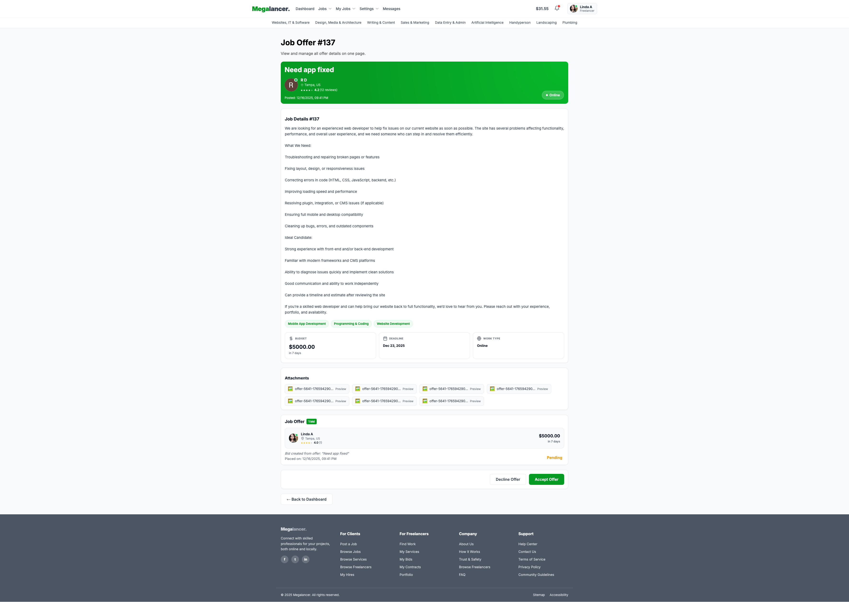 Offer Freelancer View